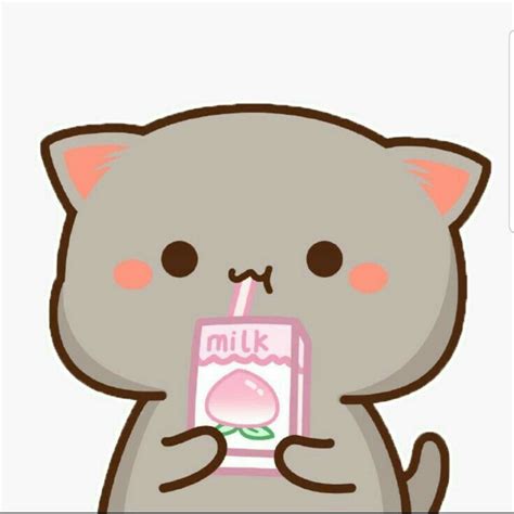 Pin By Vân Anh On Moe Cute Anime Cat Cute Kawaii Animals Chibi Cat
