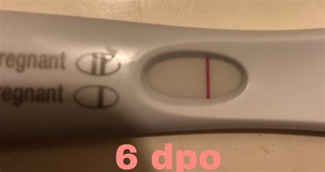 Positive Pregnancy Test 6dpo Trying To Conceive Forums What To