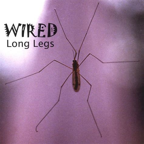 Jp Long Legs Wired Digital Music
