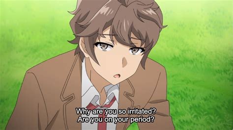 Review Rascal Does Not Dream Of Bunny Girl Senpai