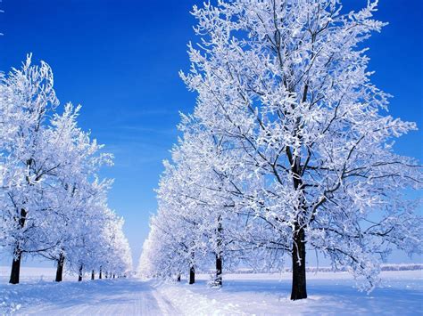 Beautiful Snowfall Wallpapers Top Free Beautiful Snowfall Backgrounds WallpaperAccess
