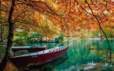 Nature Landscape Lake Trees Boat Leaves Fall Green Water
