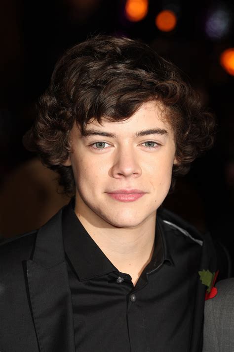 Why Harry Styles Is Better Than Ever in 2020 | POPSUGAR ...