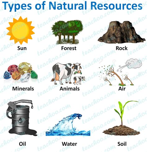 Types of Natural Resources - with Examples - Teachoo - Concepts
