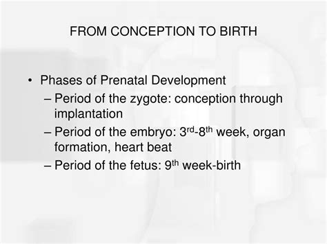 Ppt Chapter 4 Prenatal Development And Birth Powerpoint Presentation