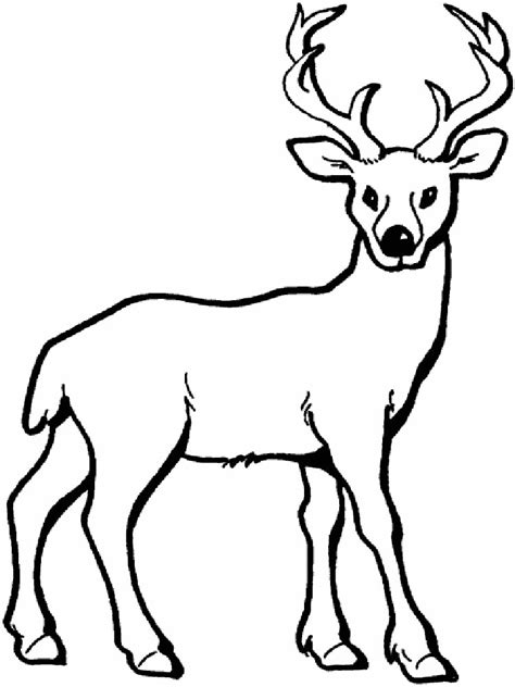 Deer Coloring Pages Download And Print Deer Coloring Pages