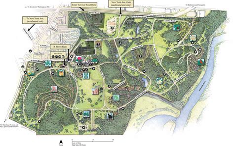 Photography Guide To The National Arboretum Dc