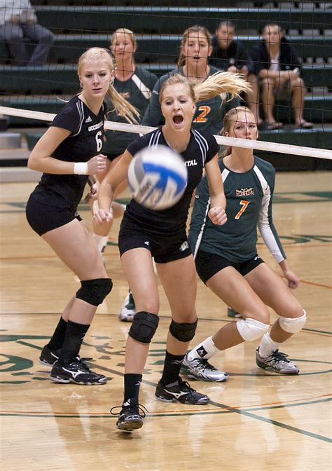 Leopards Outclaw Tigers In 5 Sets Campus Times