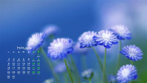 May 2016 Calendar Wallpaper 1 14 1920x1080 Wallpaper Download