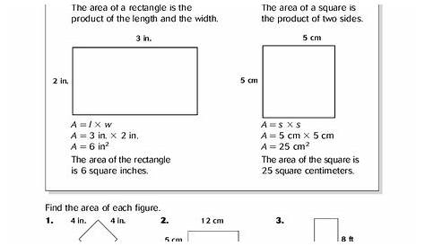 grade 3 understanding area worksheet