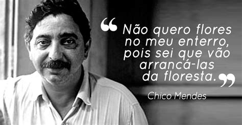 Find new and preloved chico's items at up to 70% off retail prices. Dia Internacional da floresta : frases e música para ...