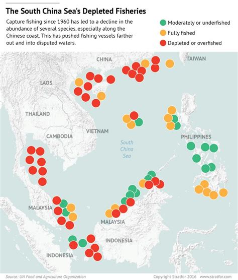 Fish Stocks In The South China Sea Tragedy Of The Commons