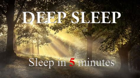 091 Asmr Forest Deep Sleep Relaxing Music Stress Relief Space Out Soothing Relaxationzone