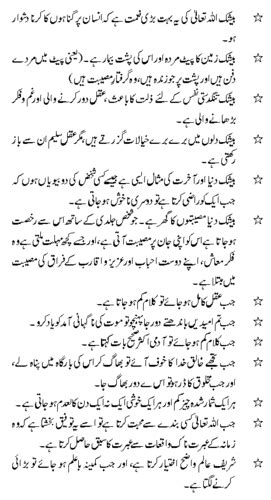 Hazrat Ali R A Quotes Saying Of Hazrat Ali In Urdu