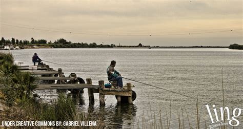 Lugares Para Ir A Pescar En Buenos Aires