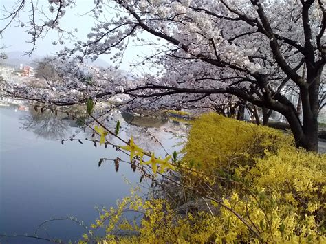 Beauty Salon, Beauty Shop, Hair Care - Abilene, TX