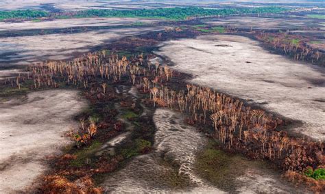 ‘terras de ninguém áreas sem destinação fundiária da amazônia tiveram 53 mil queimadas