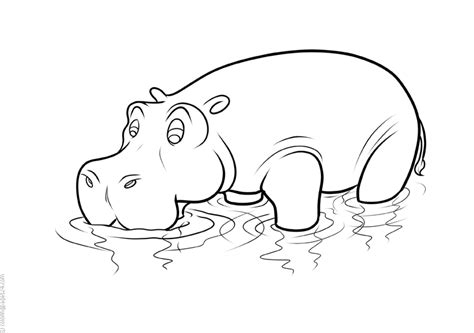 Hipopotamos Dibujos Para Colorear