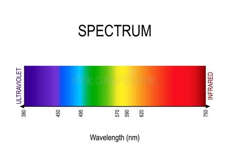 diagrama del ejemplo del vector del espectro visible esquema de color de infrarrojo a la escala