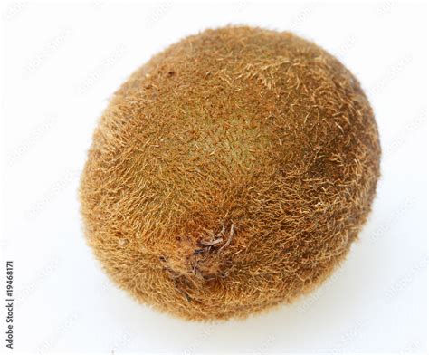 Hairy Kiwi Fruit Stock Photo Adobe Stock