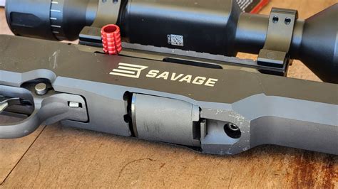 A Field Review Of The Savage A22 Precision 22lr Rimfire Rifle