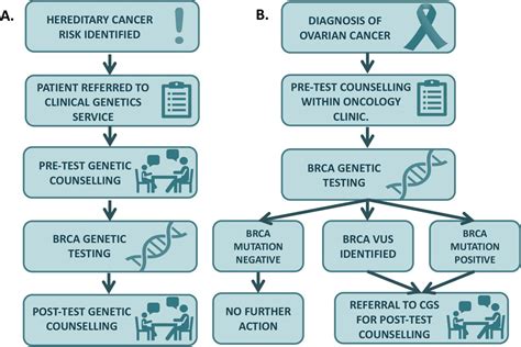 Mainstreamed Genetic Testing In Ovarian Cancer Patient Experience Of The Testing Process