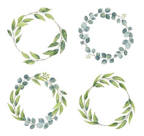 Eucalyptus Branches Vector Png Images Eucalyptus Branches Wreaths With