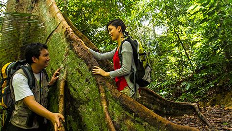 Asm is committed to pursue excellence in the fields of science, engineering and technology (set) for the benefit of all. Forest Research Institute Malaysia (FRIM Kepong) - Visit ...