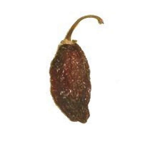 Guajillo means little gourd for the rattling sound the seeds make in dried pods. Chipotle Chillies 40g | Mora | Morita | Dried | Mexican ...
