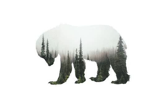 Double Exposure Bear Forest Art Printable Digital Etsy