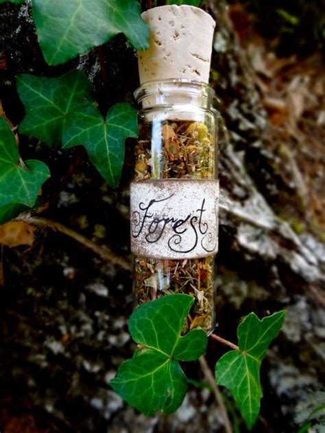 Forest Spirits Altar Offering Herbal Blend By Eirecrescent On Etsy 9
