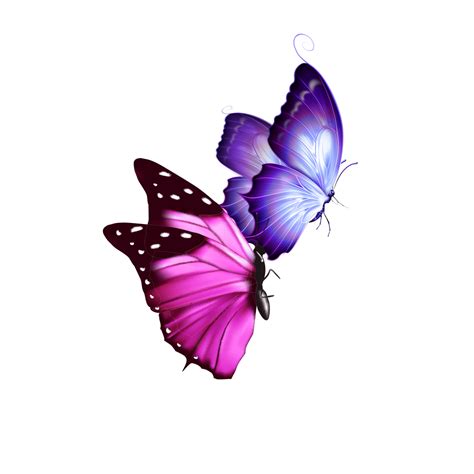 Mq Pink Purple Butterfly Butterflys