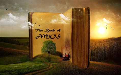 Dig Deeper Christ In The Books Of The Bible Series Amos
