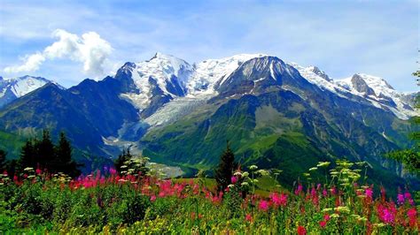 Valley Of Flowers National Park Trek In Uttarakhand India Meadow Alpine