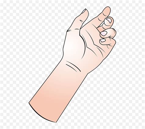 Holding Hand Clip Art Animated Hand Holding Something Png Holding