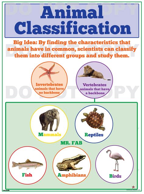 Free Printable Animal Classification Chart Image To U