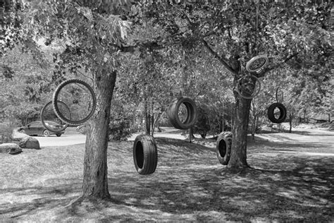 Free Images Tree Black And White Wood Art Canada Cannon Quebec