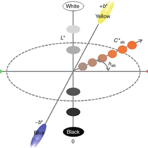 A Schematic Representation Of The Cielab Color Space Download