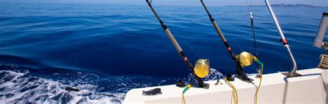 Best Trolling Rod And Reel Combos For Halibut In