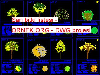 Proje Sitesi Sarı bitki listesi Autocad Projesi