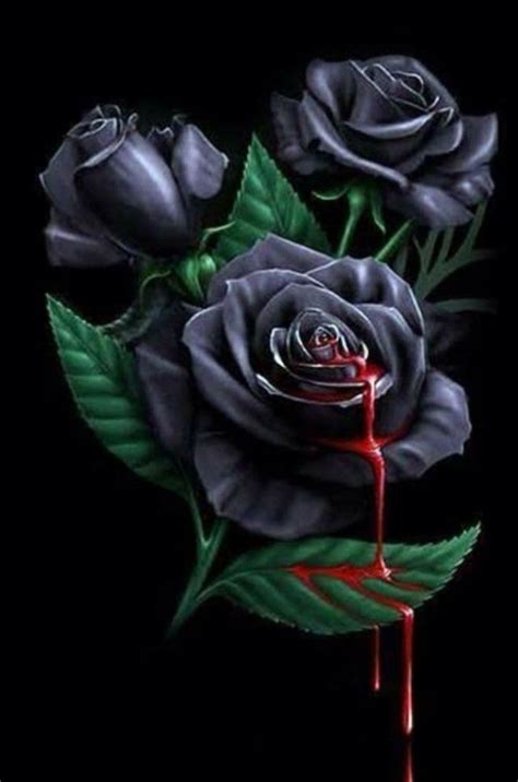 Pin By Jessica Mclawhorn On Goth Black Rose Flower Rose Wallpaper