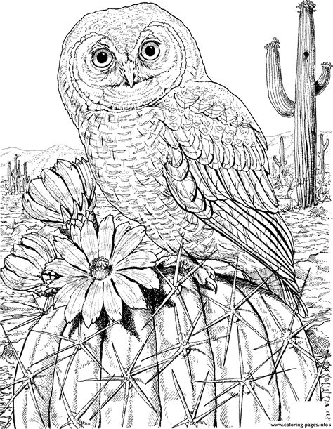 Mexican Spotted Owl On Cactus Hard Animal Adult Coloring Pages Printable