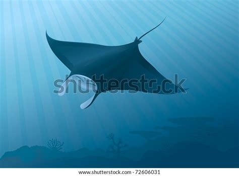 Manta Ray Fish Flying Underwater Above Stock Vector Royalty Free 72606031
