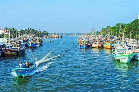 2023 Negombo City Tour Provided By Travelnlanka Tripadvisor