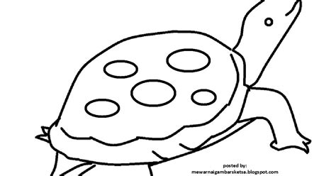 Ada yang hidup di air, darat, bisa terbang, memiliki dua kaki, empat kaki dan berbagai ciri lain. Mewarnai Gambar: Mewarnai Gambar Sketsa Hewan Kura-Kura 2