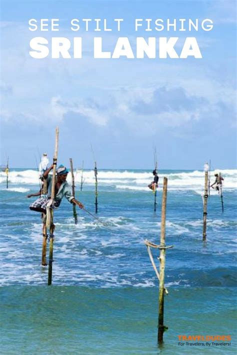 Stilt Fishing In Sri Lanka One Of The Most Emblematic Sights Of Sri