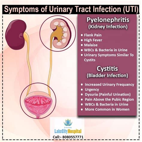 Symptoms Of Urinary Tract Infection Uti For Information Contact