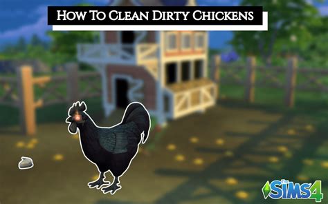 How To Clean Dirty Chickens In Sims 4