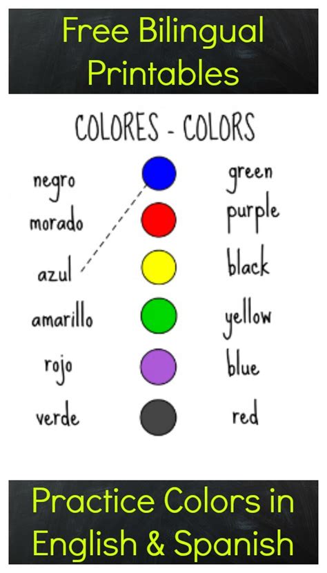️learning Colors In Spanish Worksheets Free Download