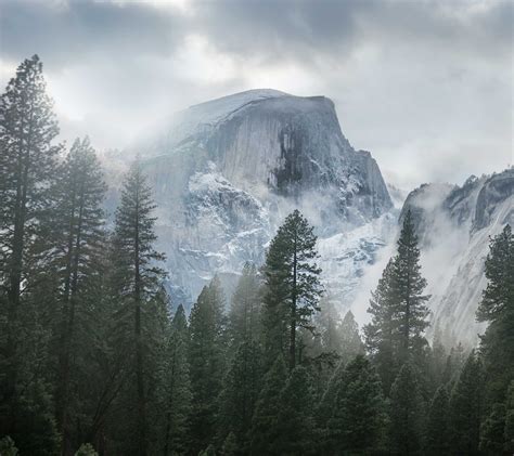 Mist Nature Landscape Yosemite National Park Trees Forest Snow